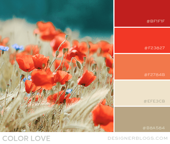 red color swatch