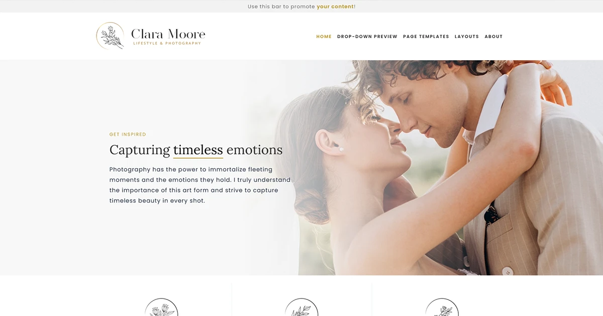 Welcome section example from Clara WordPress Theme